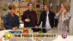 Nyhetsmorgon (TV4)采訪