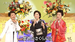 黃色いさくらんぼ