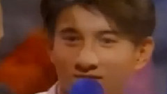 追風霹靂虎