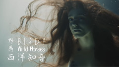 Wild Horses(野馬)