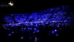 黃金鹿海 星空海 拼字應援