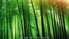 圣賢故里