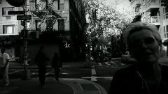 Hela v?rlden st?r i blom