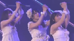 初戀よ こんにちは