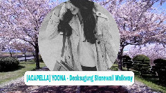 德壽宮石墻路的春天