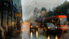 Silent Rain