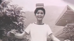 愛情如風雨