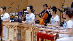 民樂群星 - 三六