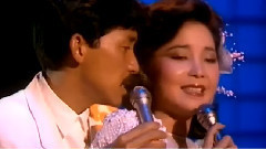 無盡的愛(Endles Love)