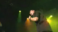 Infest