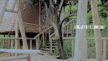 左半邊翅膀-許飛