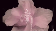 你如今好嗎-許飛