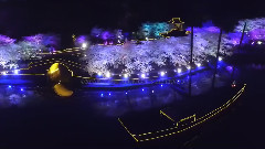 平凡之路&See You Again(蘭花音樂)