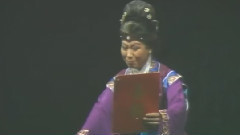 河北梆子 - 河北梆子 花木蘭 4