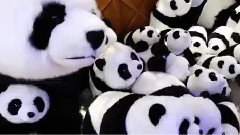 可愛樸炯植的發帶show