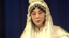 秦雪梅1