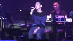 愛情的背影