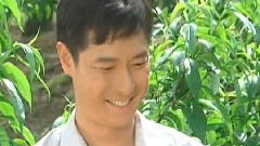再會無緣的情人