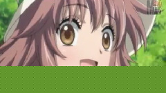 小鳩