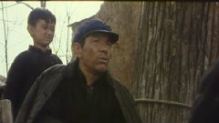 父老鄉親