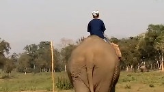快樂地圖