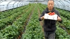 快樂地圖