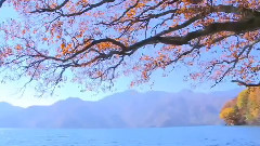 俄羅斯風格的法國慢搖