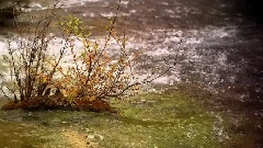 Bandari,輕音樂 - Breath Of The Wind
