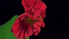 Bandari,音樂短片 - Give Me Your Hand