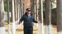 泰師 Style