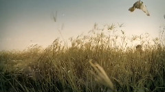 η γιορτ? που μου χρωστ??~?λκηστι? Πρωτοψ?λτη