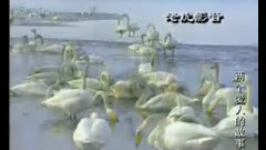 說句心里話