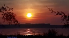 Love Knows No Borders