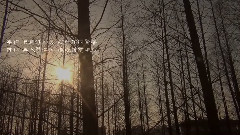 沼澤樂隊