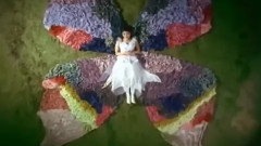 蝴蝶墳墓
