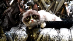 Grump Of Thrones