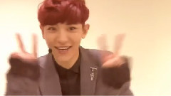 SBS 地方選舉宣傳放送