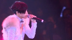 東亞華星演唱會