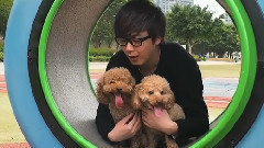 內有愛犬
