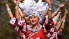 苗家地方花一樣