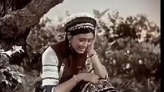 蝴蝶泉邊