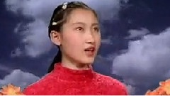 遠去的大雁