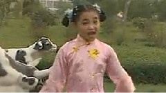 黃河邊的山里娃