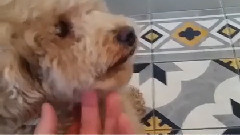 IG更新一則