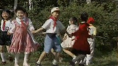 紫荊花美