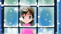 雪絨花