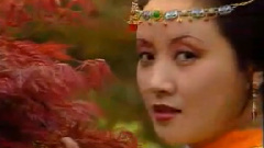 聰明累