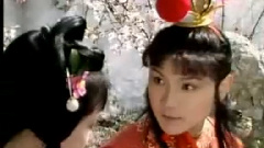 陳力 - 枉凝眉