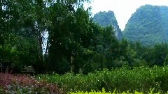 陽朔美景畫中游