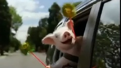 We Are Never Ever Getting Back